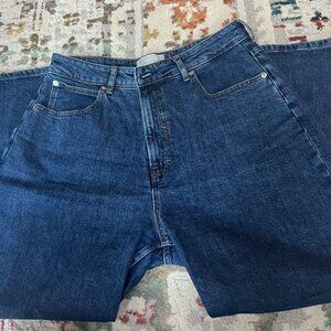 COPY - Everlane The Curvy Way High Jean